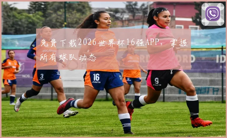 免费下载2026世界杯16强APP，掌握所有球队动态